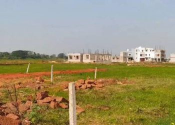 USHA PADHEE-City project