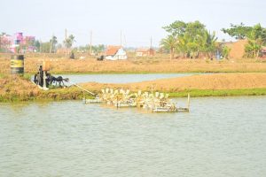 Bhitarakanika Biodiversity