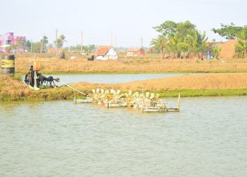 Bhitarakanika Biodiversity