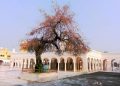 Nankana Sahib