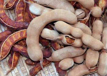 Tribal-tamarind sale