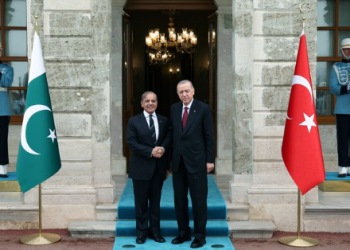 Sharif meets Erdogan, thanks him for supporting Pak during military confrontation with India