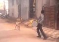 Viral video