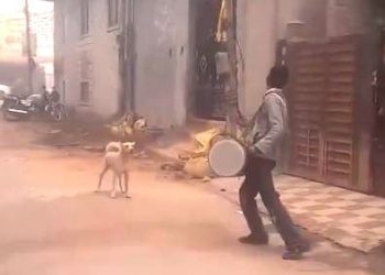 Viral video