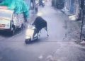 Viral video