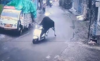 Viral video