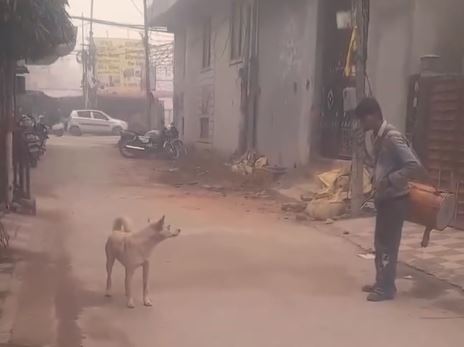 Viral video