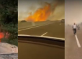 Wildfire