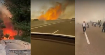 Wildfire