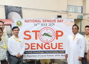 National Dengue Day