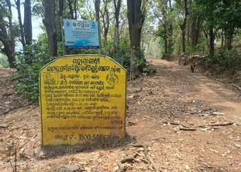 Nayagarh