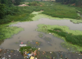 Residents pin hope on ring road to get respite from river pollution
