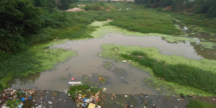 Residents pin hope on ring road to get respite from river pollution