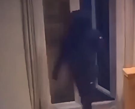 Viral video