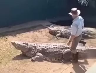 Viral video