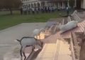 viral video