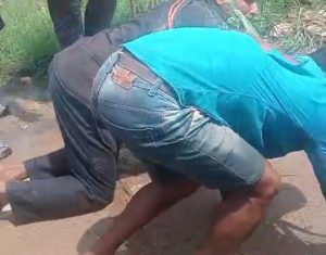 Dalits tortured by cow vigilantes; nine detained