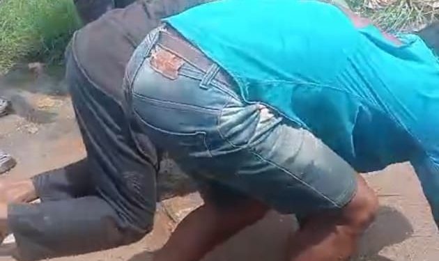 Dalits tortured by cow vigilantes; nine detained