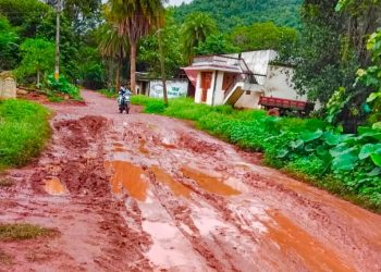 Deplorable road conditions in Daringbadi disrupt school commutes, emergency services