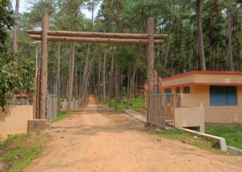 Daringbadi