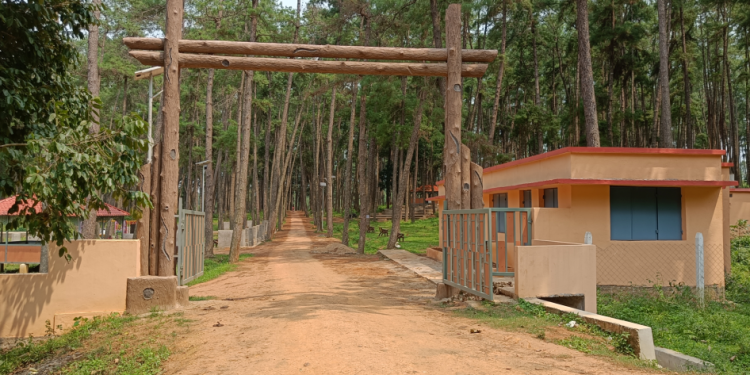 Daringbadi