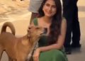 Dogesh bhai viral video