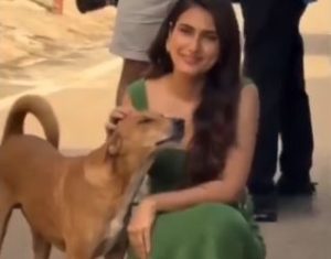 Dogesh bhai viral video