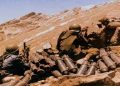 Kargil Vijay Diwas