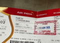 Passenger survives Air India plane crash