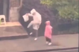 Viral video