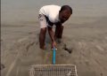 Viral video