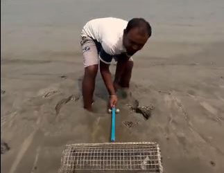 Viral video