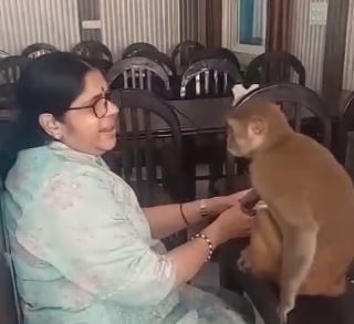 Viral video,