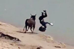 Viral video