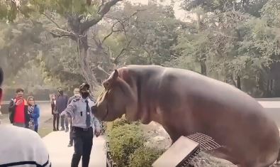 Viral video
