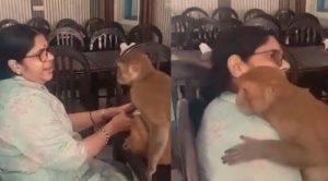 Viral video