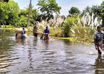 Odisha flood
