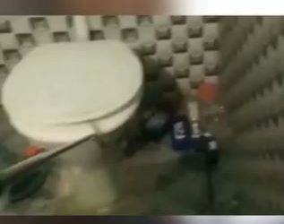 Viral video