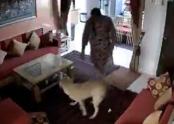 Viral video