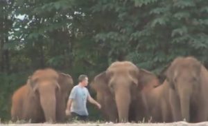 Emotional viral video: Caretaker returns after a year; what these elephants do next will shock you