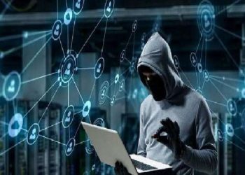 Fraud Risk