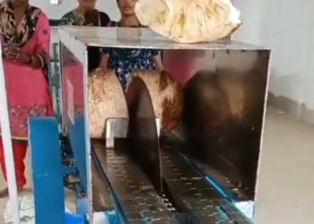 ORMAS-Jackfruit