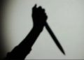 Haryana Crime