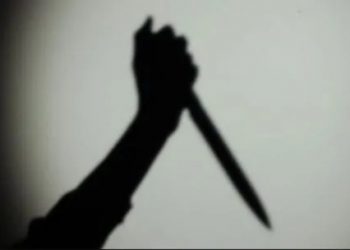 Haryana Crime