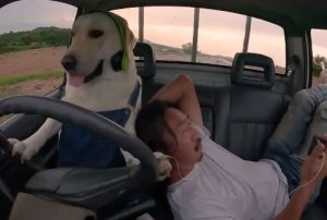 Viral video