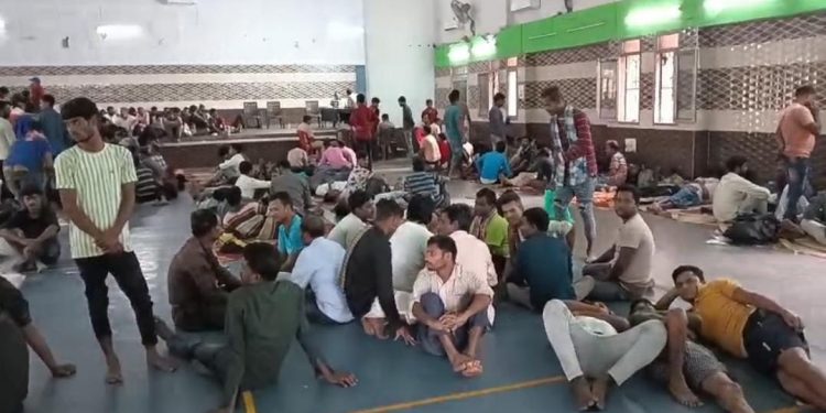 Bengal migrant