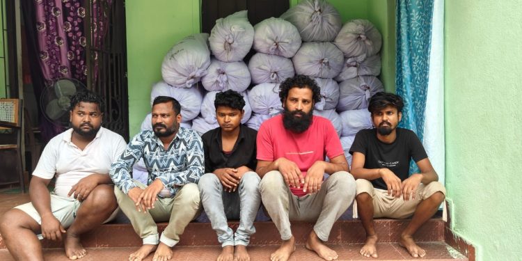 Sonepur-ganja