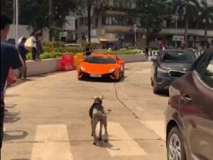 Viral video