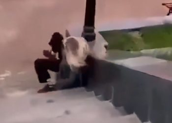 Viral video