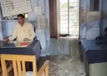 Viral video